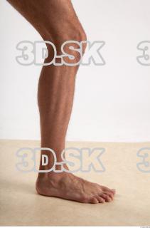 Leg reference of Moric 0008